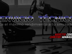 Soporte técnico para Assetto Corsa y CSP